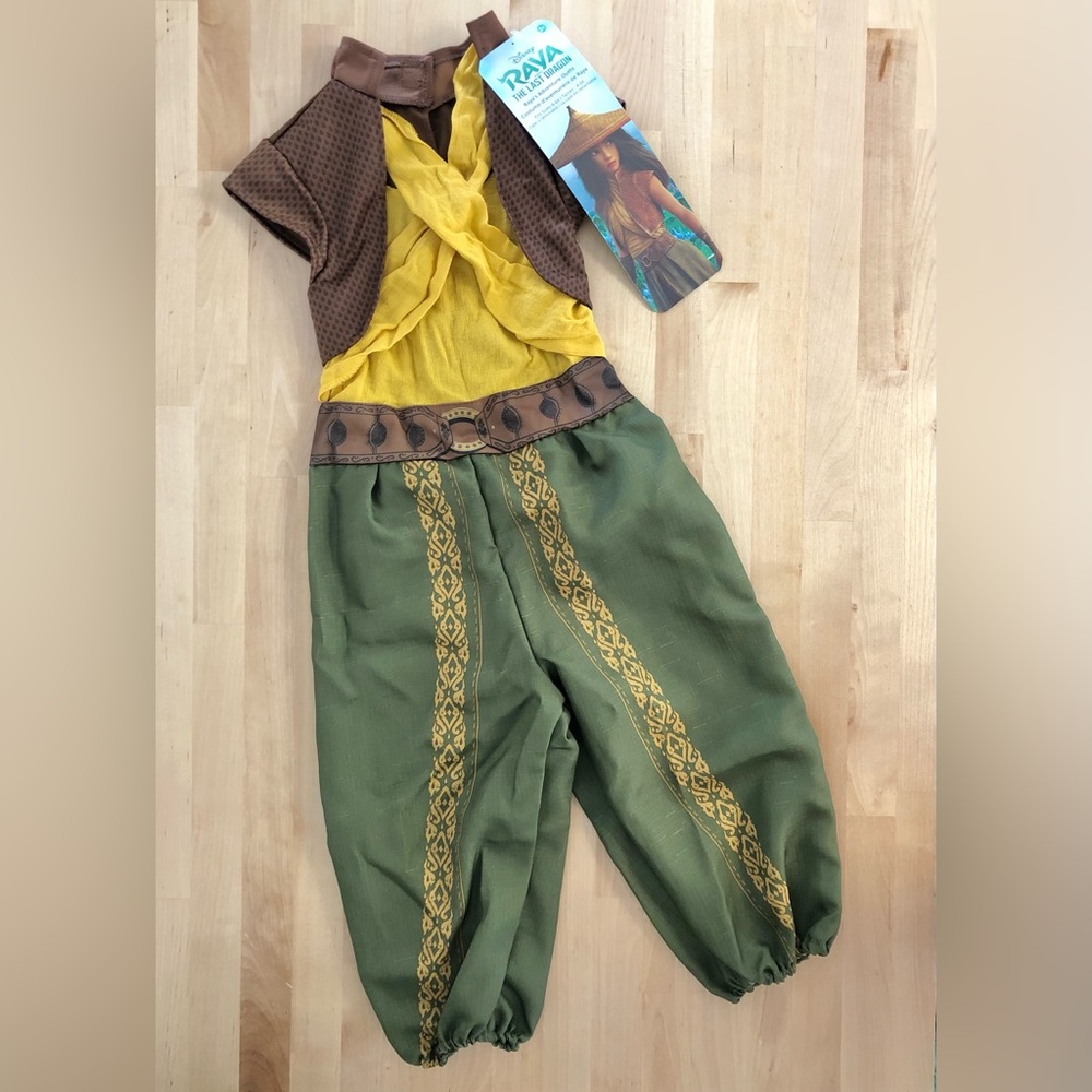 Disney Raya Costume